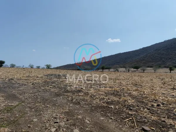 Terreno en venta en Jonacatepec de Leandro Valle Centro, Jonacatepec de Leandro Valle — foto 2 de 12