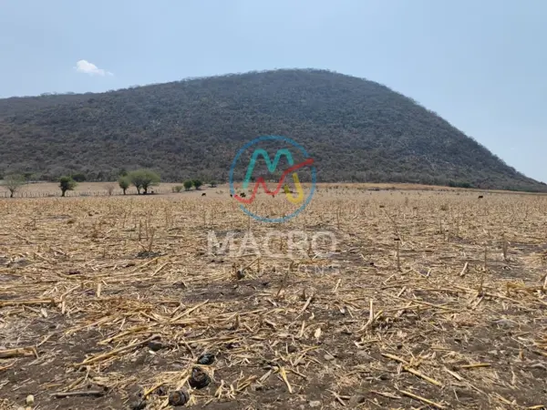 Terreno en venta en Jonacatepec de Leandro Valle Centro, Jonacatepec de Leandro Valle — foto 3 de 12