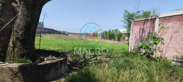 Terreno en venta en Yecapixtla, Yecapixtla — foto 3 de 10