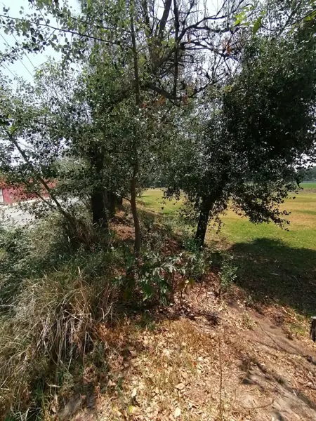 Terreno en venta en Sanctorum, Cuautlancingo — foto 3 de 15