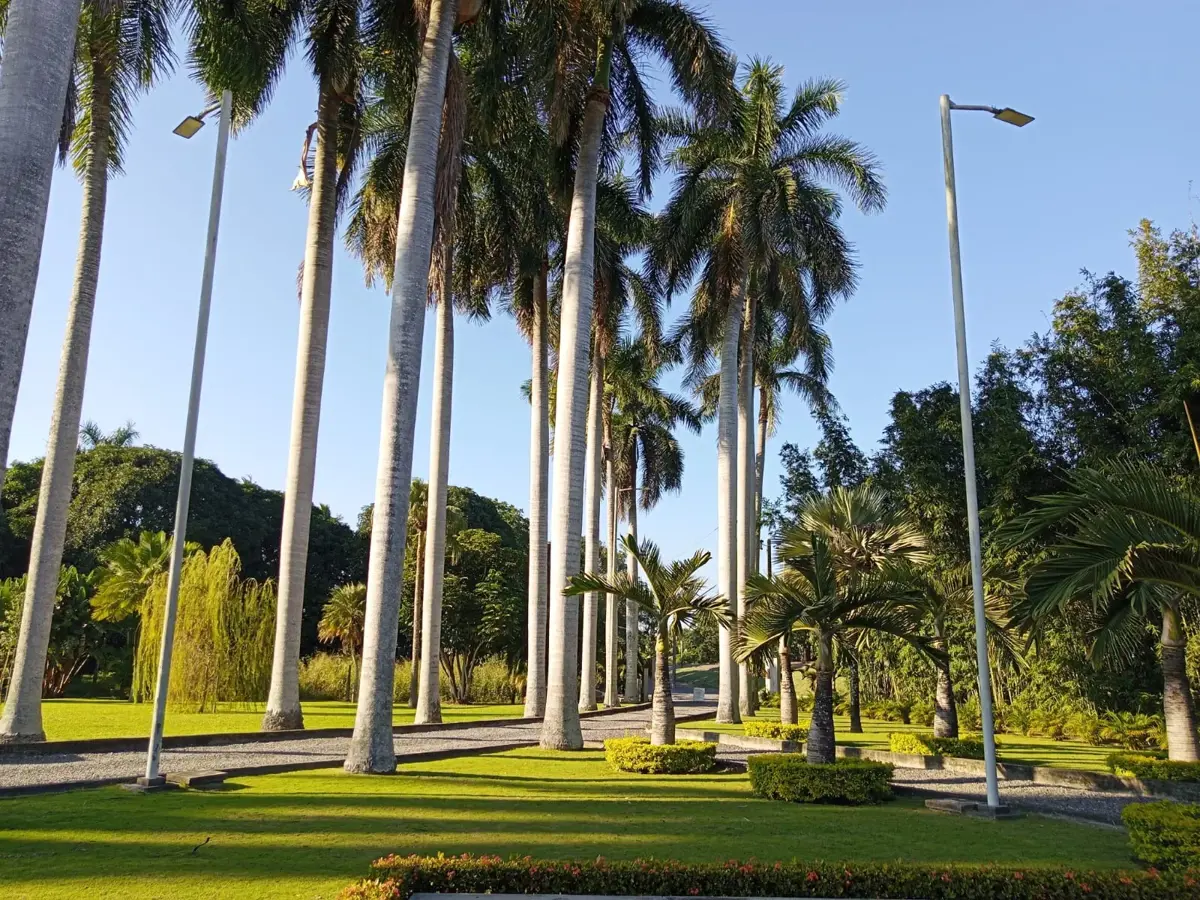 Terreno en venta en La Posta, La Antigua — foto 1 de 9