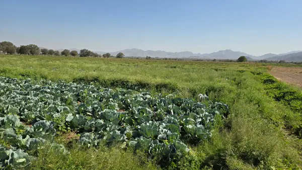 Terreno en venta en Los Angeles, Lerdo — foto 2 de 5