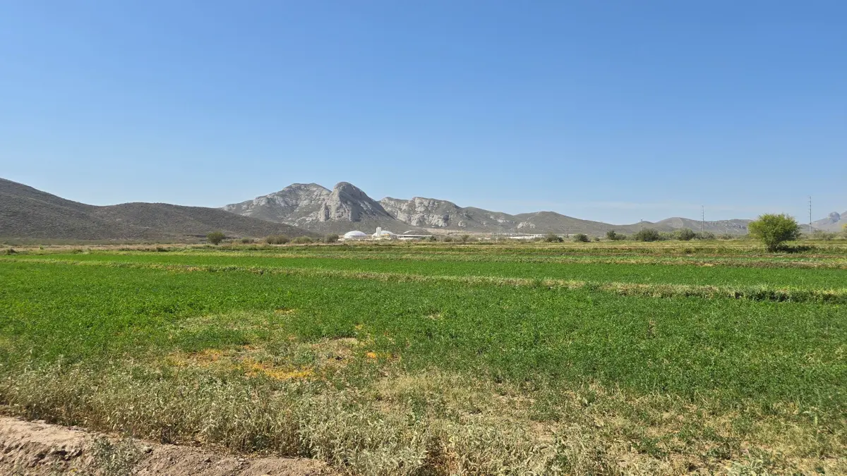 Terreno en Venta en Los Angeles, Lerdo, Durango