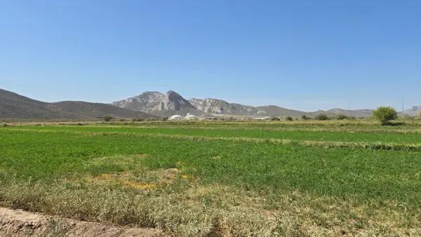 Terreno en venta en Los Angeles, Lerdo, Durango Terreno en venta en Los Angeles, Lerdo, Durango