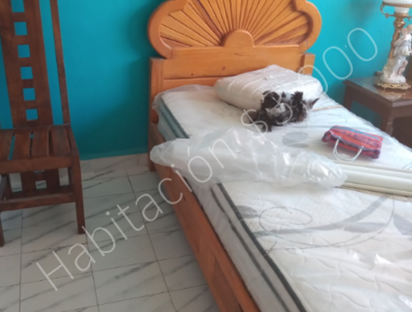 Departamento en renta en Avante, Coyoacán — foto 3 de 5