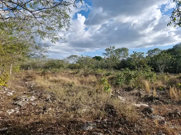 Terreno en Xcunya, Mérida, Yucatán