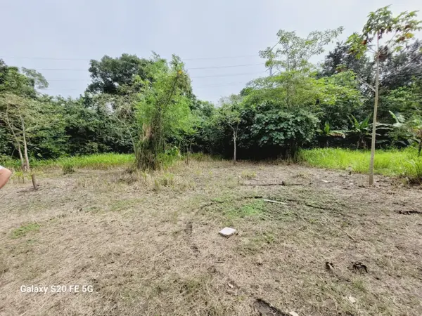 Terreno en venta en Miguel Hidalgo 2da. Sección (La Guaira), Centro — foto 3 de 5