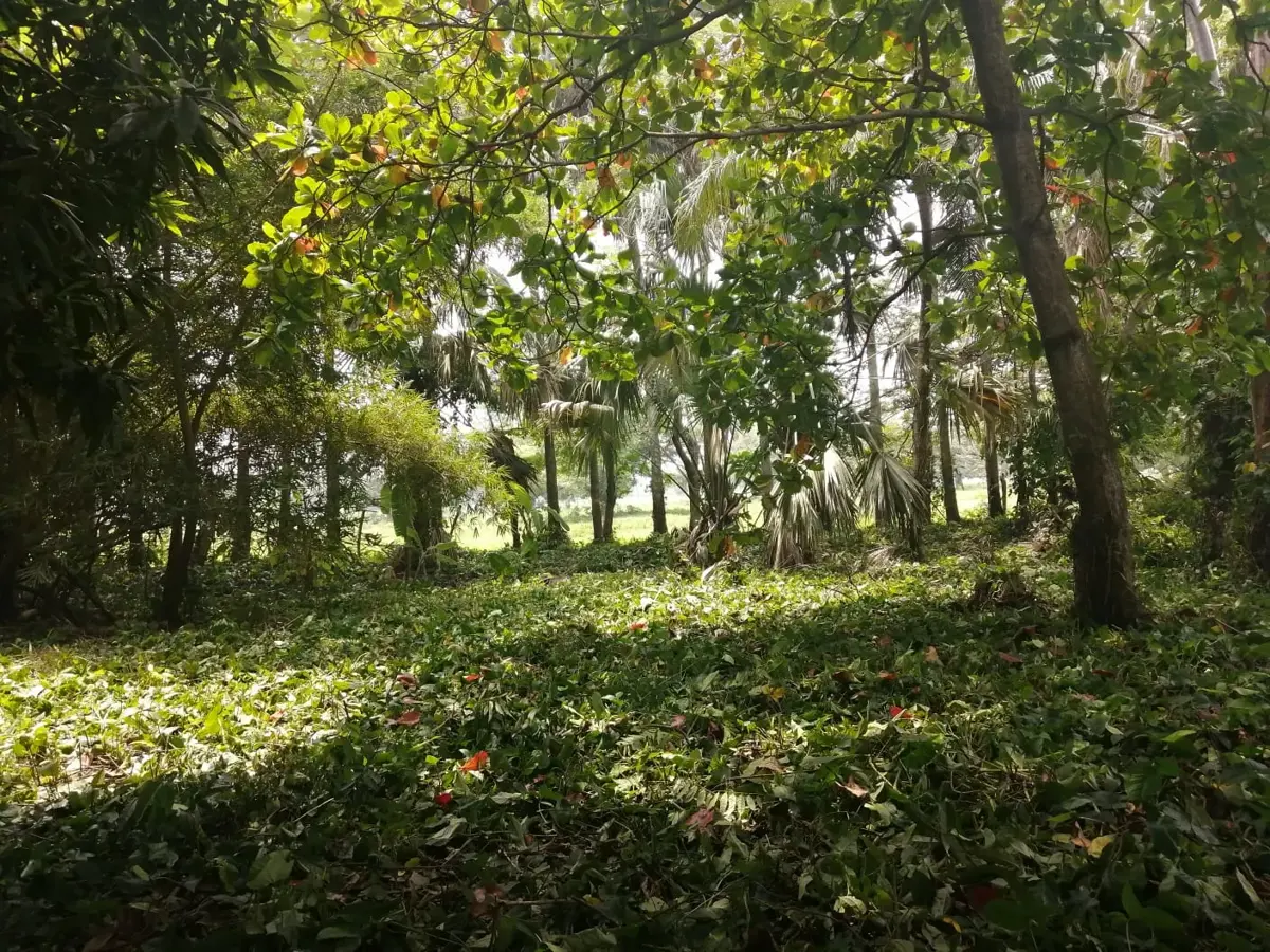 Terreno en venta en Medellín y Madero 3ra. Sección, Centro — foto 1 de 7