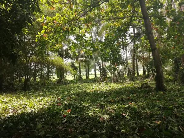 Terreno en venta en Medellín y Madero 3ra. Sección, Centro — foto 3 de 7