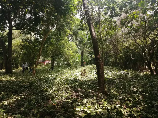 Terreno en venta en Medellín y Madero 3ra. Sección, Centro — foto 2 de 7