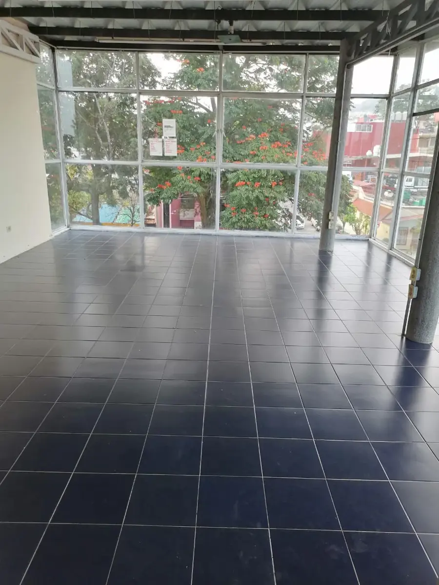 Edificio en renta en Los Laureles, Xalapa — foto 1 de 4
