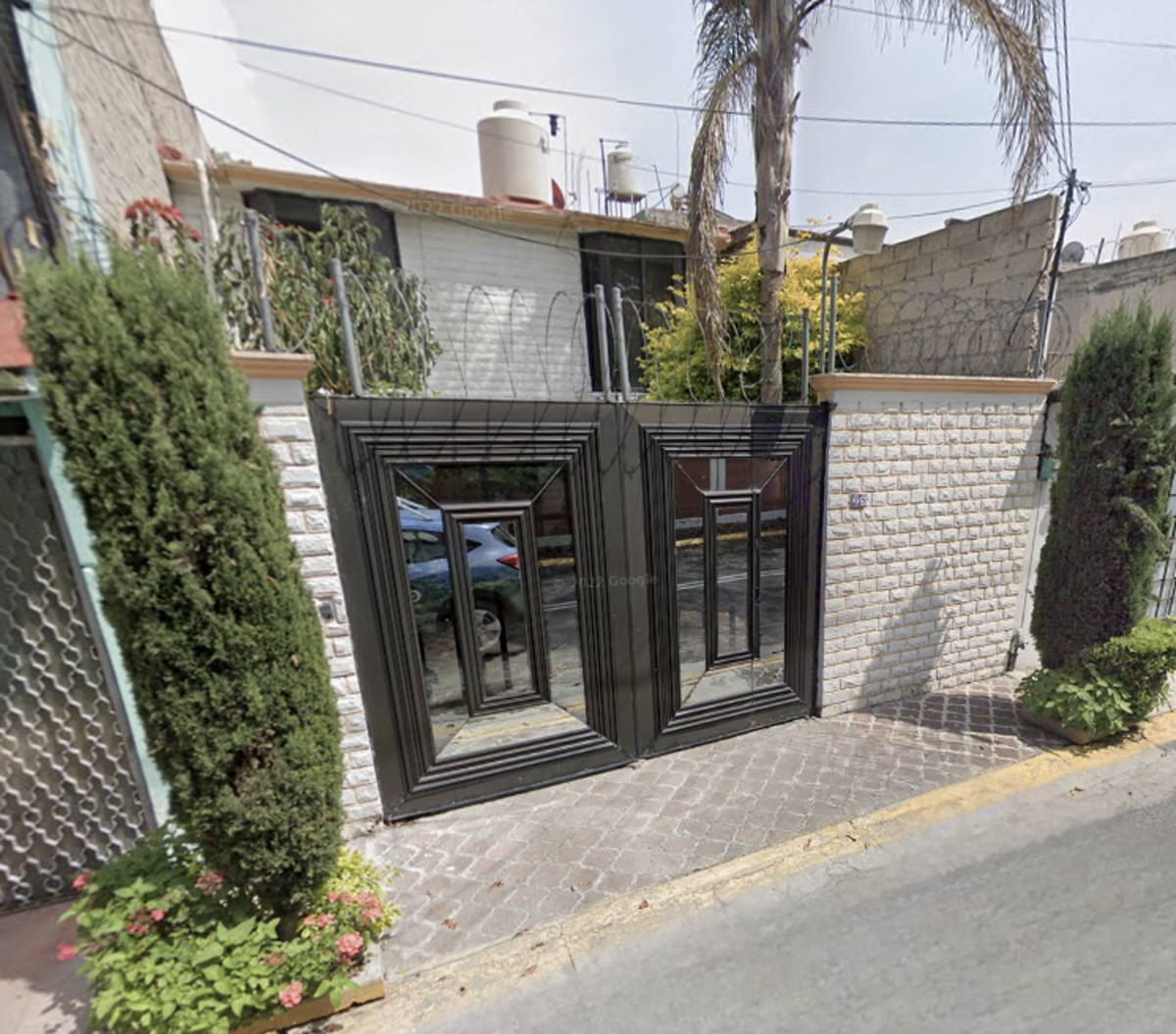 Imagen 2
