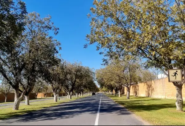 Terreno en venta en Las Villas, Torreón — foto 2 de 7