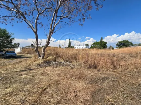 Terreno en venta en Paraíso Tlahuica, Ayala, Morelos