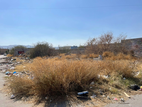 Terreno en venta en Torreón Residencial, Torreón — foto 2 de 3