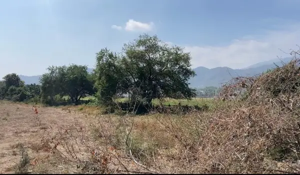 Terreno en venta en CERESO Manzanillo, Manzanillo — foto 3 de 12