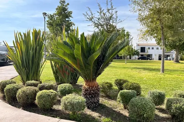 Casa en renta en Villa de las Palmas, Torreón — foto 2 de 41