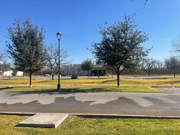 Terreno en venta en Las Villas, Torreón — foto 2 de 8