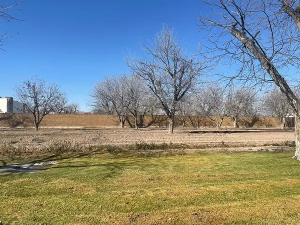 Terreno en venta en Las Villas, Torreón — foto 3 de 8