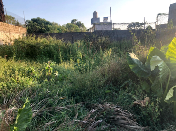 Terreno en venta en Ahuatepec, Cuernavaca — foto 2 de 3
