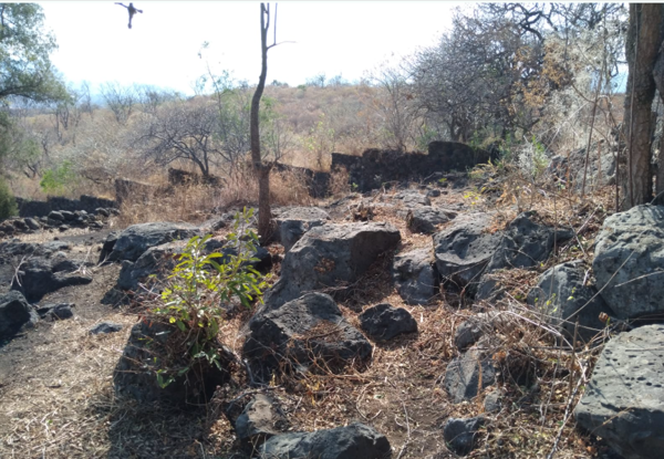 Terreno en venta en Tepoztlan Centro, Tepoztlán — foto 3 de 10