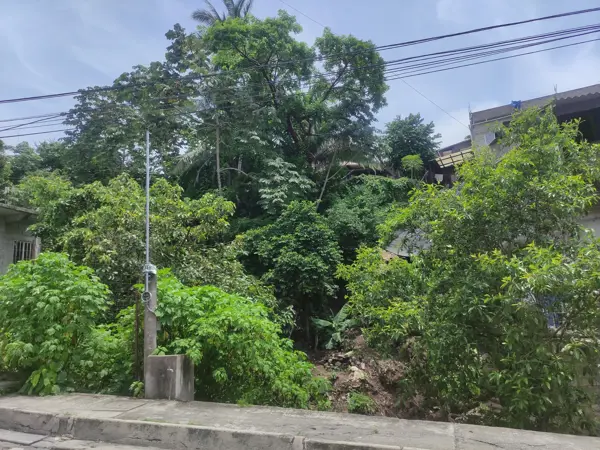 Terreno en venta en El Caloso, Puerto Vallarta — foto 2 de 8