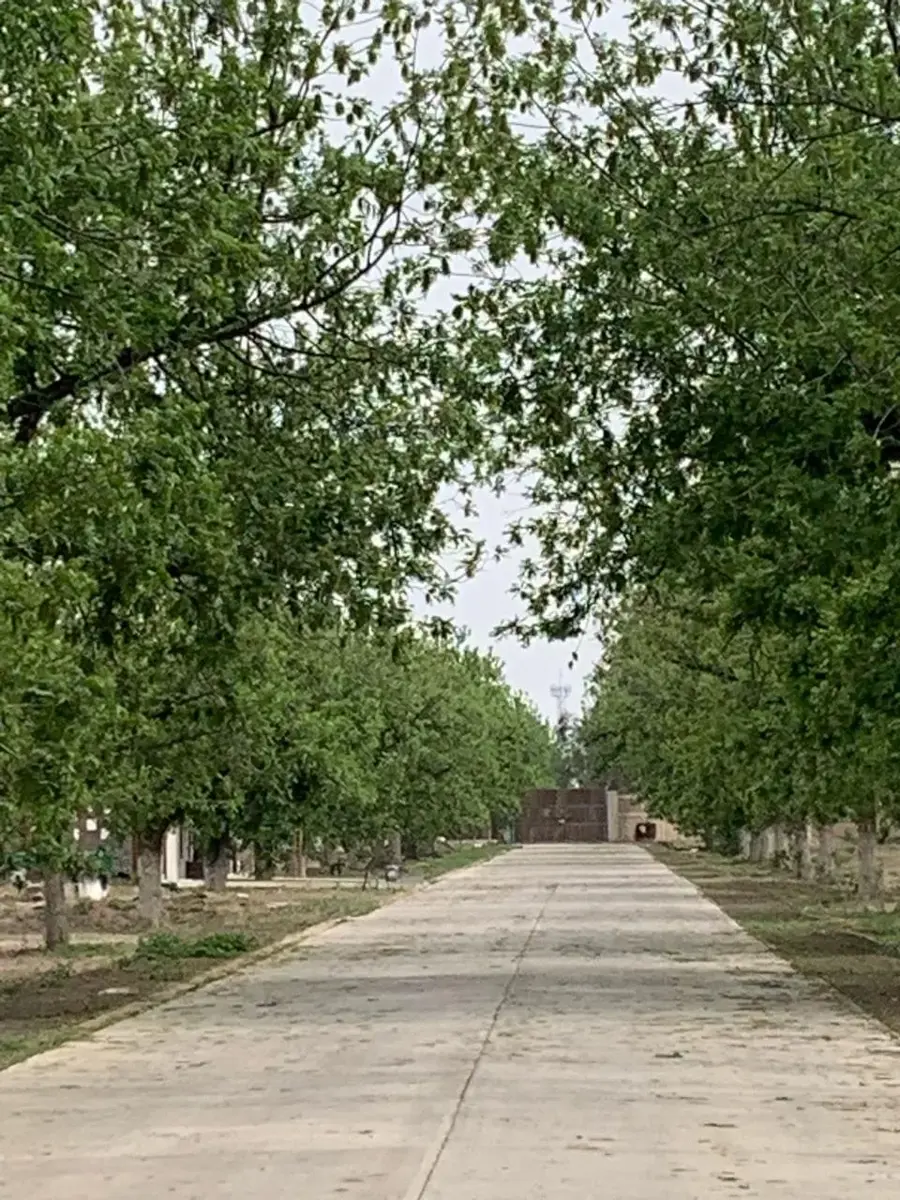 Terreno en Venta en El Quemado, Gómez Palacio, Durango