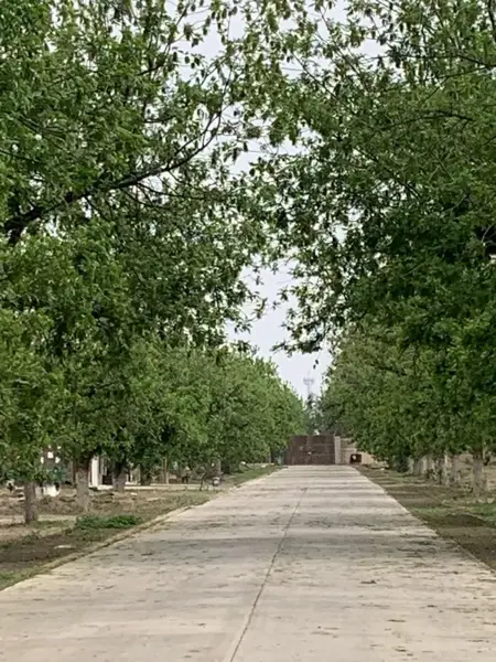 Terreno en venta en El Quemado, Gómez Palacio, Durango Terreno en venta en El Quemado, Gómez Palacio, Durango