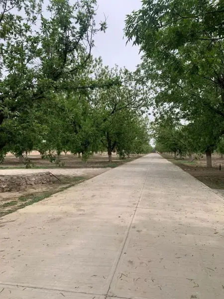 Terreno en venta en El Quemado, Gómez Palacio — foto 2 de 2
