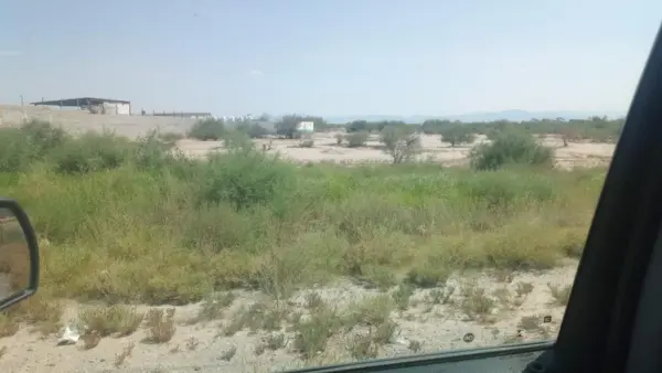 Terreno en renta en Purísima, Matamoros, Coahuila de Zaragoza