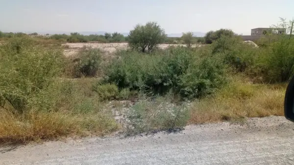 Terreno en venta en Pastor Rouaix, Gómez Palacio — foto 2 de 3