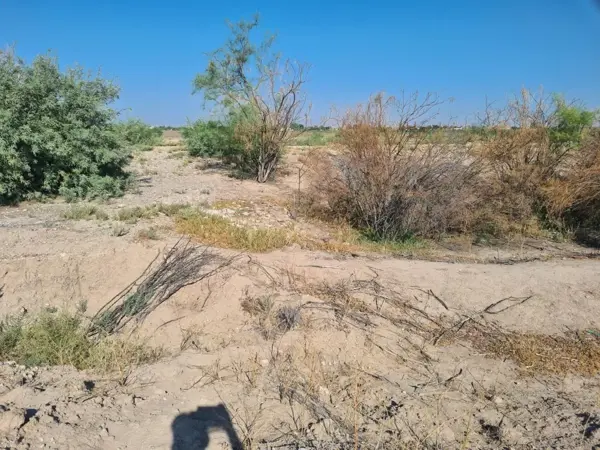Terreno en venta en Pastor Rouaix, Gómez Palacio — foto 3 de 3