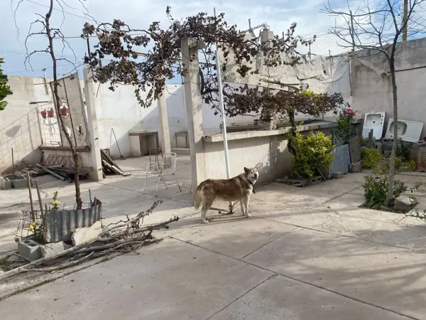 Finca-Rancho en venta en La Paz, Torreón — foto 3 de 6