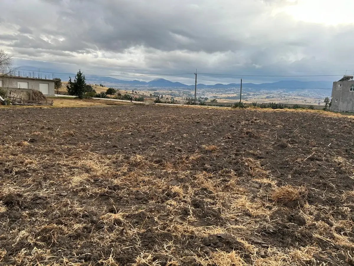 Terreno en venta en El Tepetatal, Almoloya de Juárez — foto 1 de 3