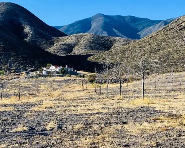 Terreno en venta en De La Loma, Parras — foto 2 de 20