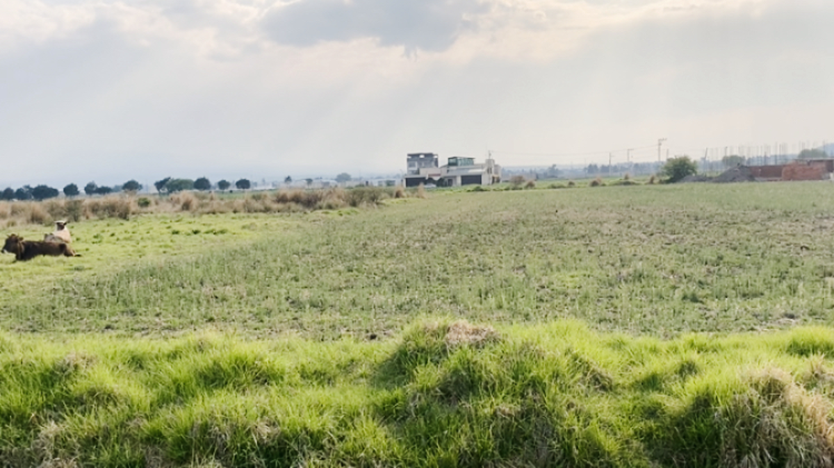 Terreno en venta en San Miguel Totocuitlapilco, Metepec — foto 1 de 2