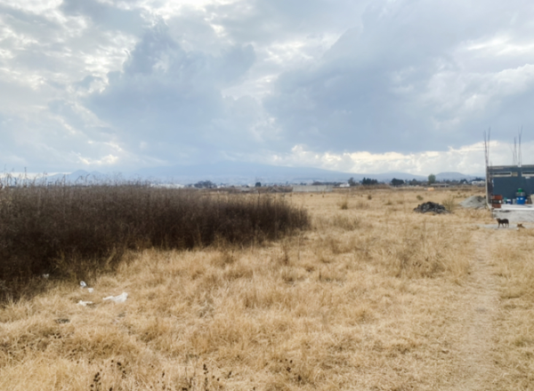Terreno en venta en San Miguel Totocuitlapilco, Metepec — foto 2 de 3