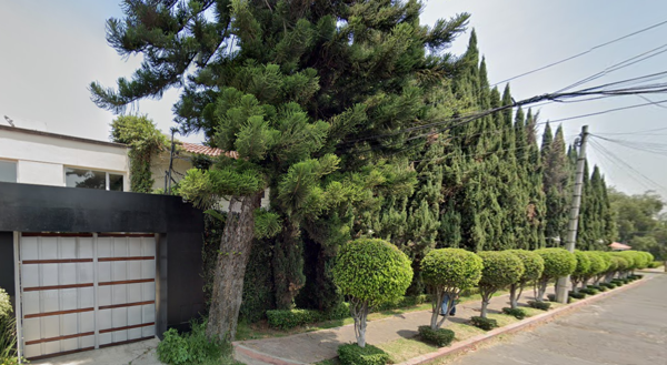 Casa en venta en Jardines del Pedregal, Álvaro Obregón — foto 3 de 15