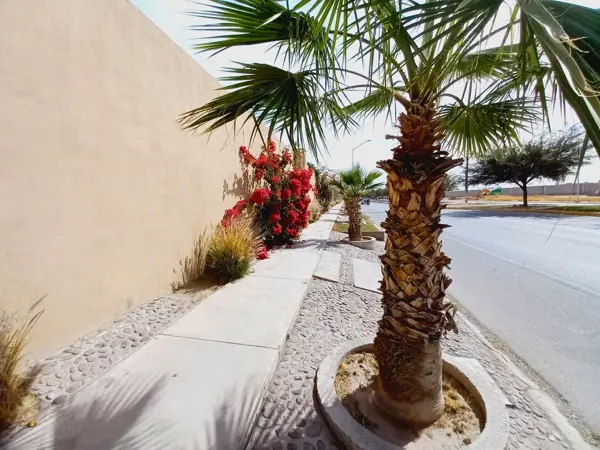 Terreno en venta en Los Viñedos, Torreón — foto 3 de 5