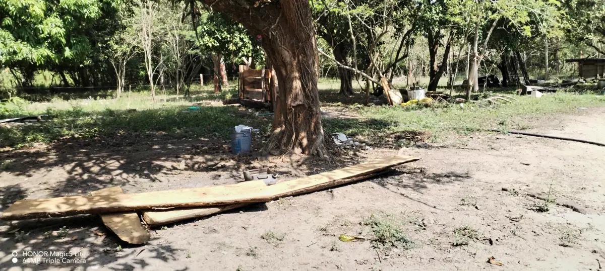 Finca-Rancho en venta en Joachin, Tierra Blanca — foto 1 de 24
