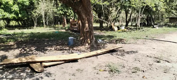 Finca-Rancho en venta en Joachin, Tierra Blanca, Veracruz de Ignacio de la Llave