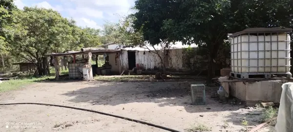 Finca-Rancho en venta en Joachin, Tierra Blanca — foto 2 de 24