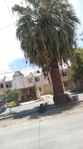 Casa en venta en Pedregal del Valle, Torreón — foto 3 de 6