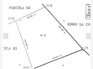 Terreno en venta en La Conchita Roja, Torreón — foto 3 de 4