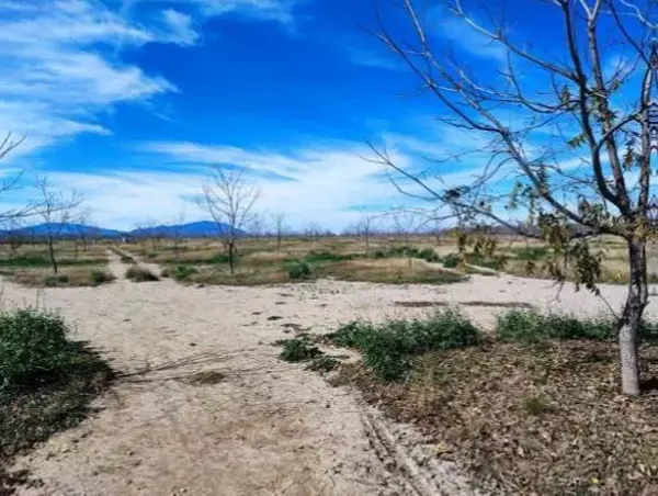 Finca-Rancho en venta en Los Hoyos (El Potrero), Parras — foto 2 de 7