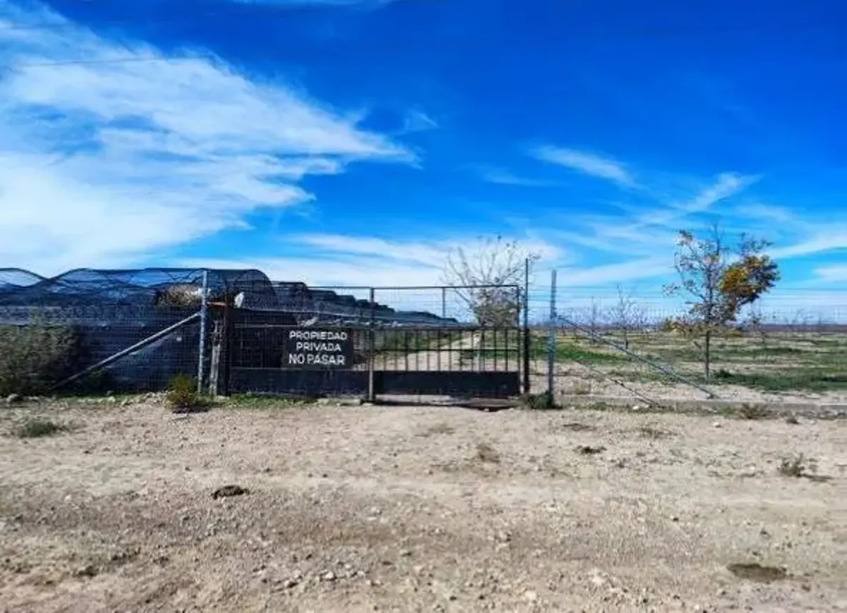 Finca-Rancho en venta en Los Hoyos (El Potrero), Parras — foto 1 de 7