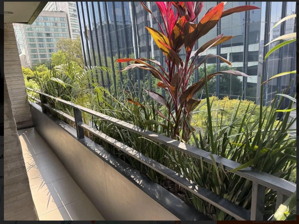 Departamento en renta en Cuauhtemoc, Cuauhtémoc — foto 1 de 13