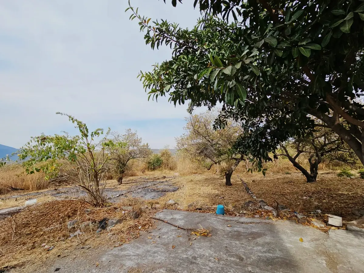 Terreno en venta en El Caudillo del Sur, Yautepec — foto 1 de 9