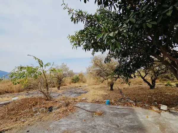 Terreno en venta en El Caudillo del Sur, Yautepec — foto 3 de 9