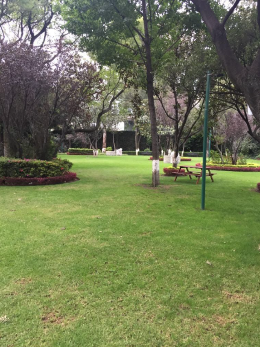 Departamento en renta en Lomas de Chapultepec I Sección, Miguel Hidalgo — foto 1 de 9